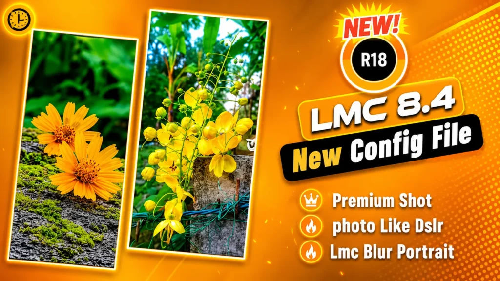 LMC 8.4 Config File